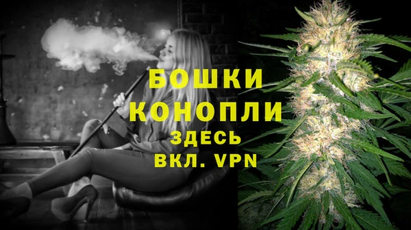 шишки Нягань