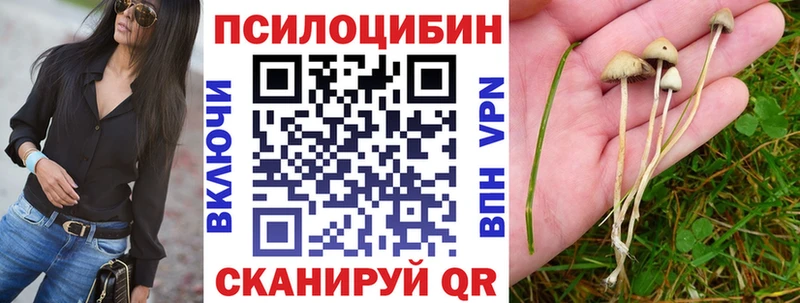 Галлюциногенные грибы ЛСД Электроугли